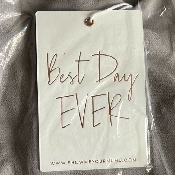 Show Me Your Mumu Godshaw Goddess Gown Maxi Dress in Dove Grey Chiffon. XL. NWT! - Picture 10 of 11